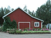 Taimiston kuva 2